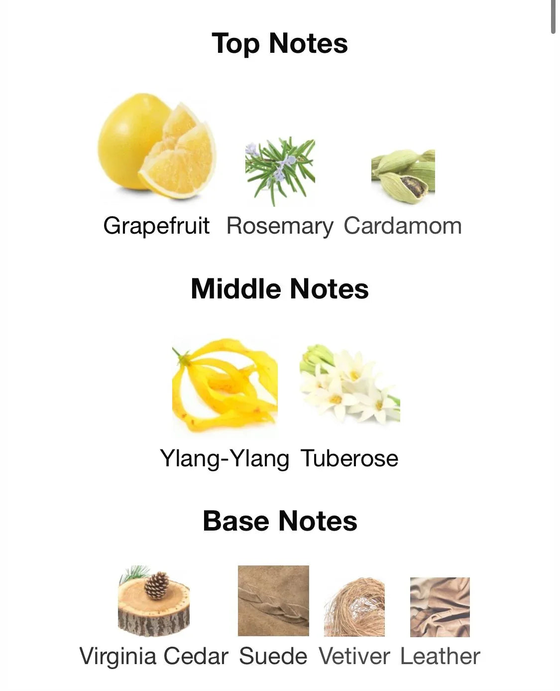 DASHING BLUE - EDP 50ml - Ghani Al Oud