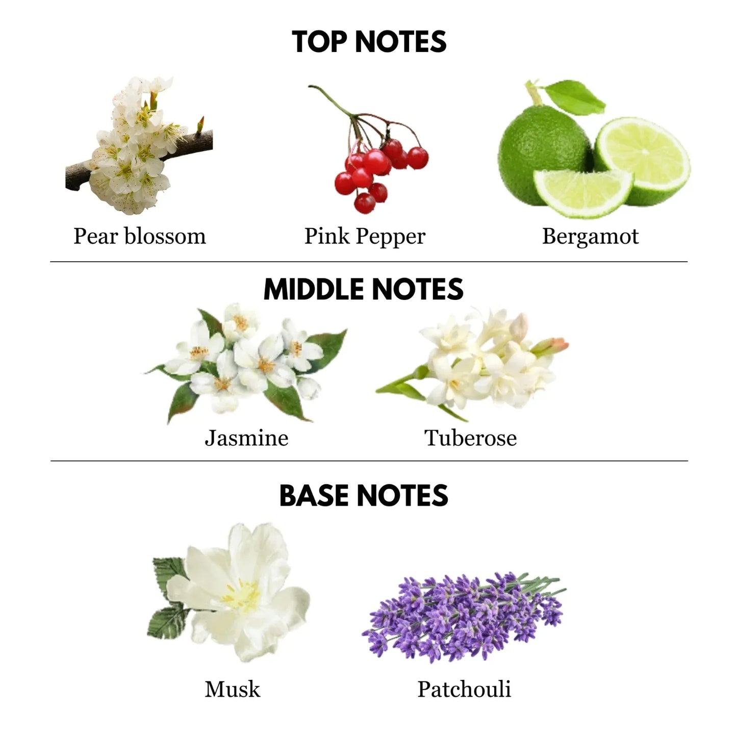 Optimusk Perfume-100ml - Ghani Al Oud