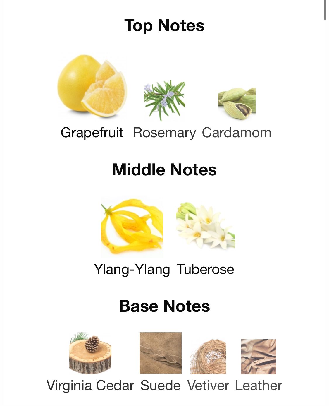 DASHING BLUE - EDP 50ml